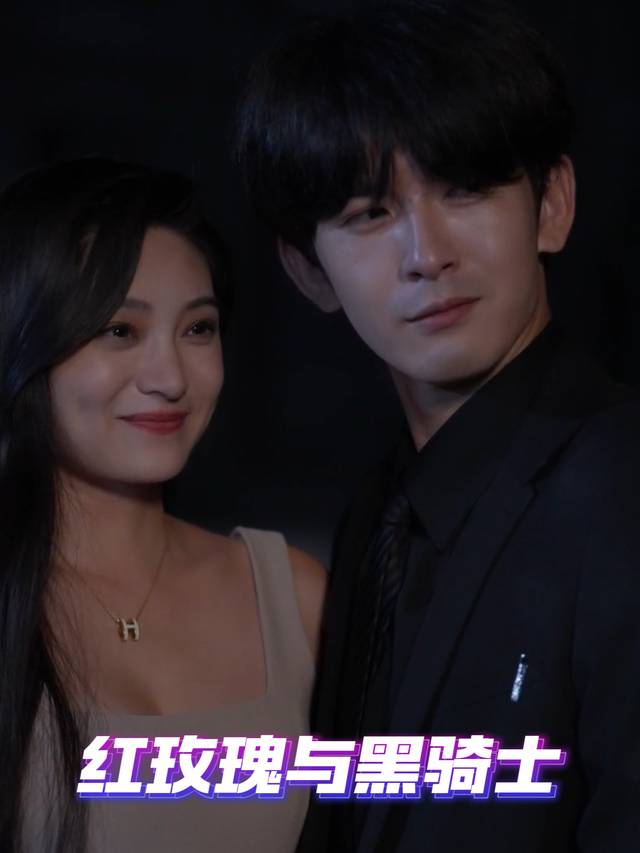 红玫瑰与黑骑士封面