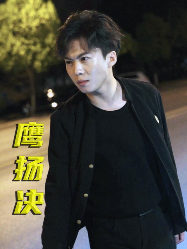 鹰扬决封面