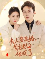 夫人要离婚,首富老公他慌了封面