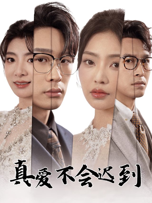 真爱不会迟到封面