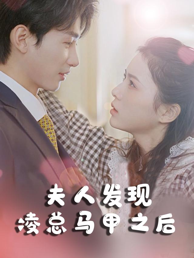夫人发现凌总马甲之后封面