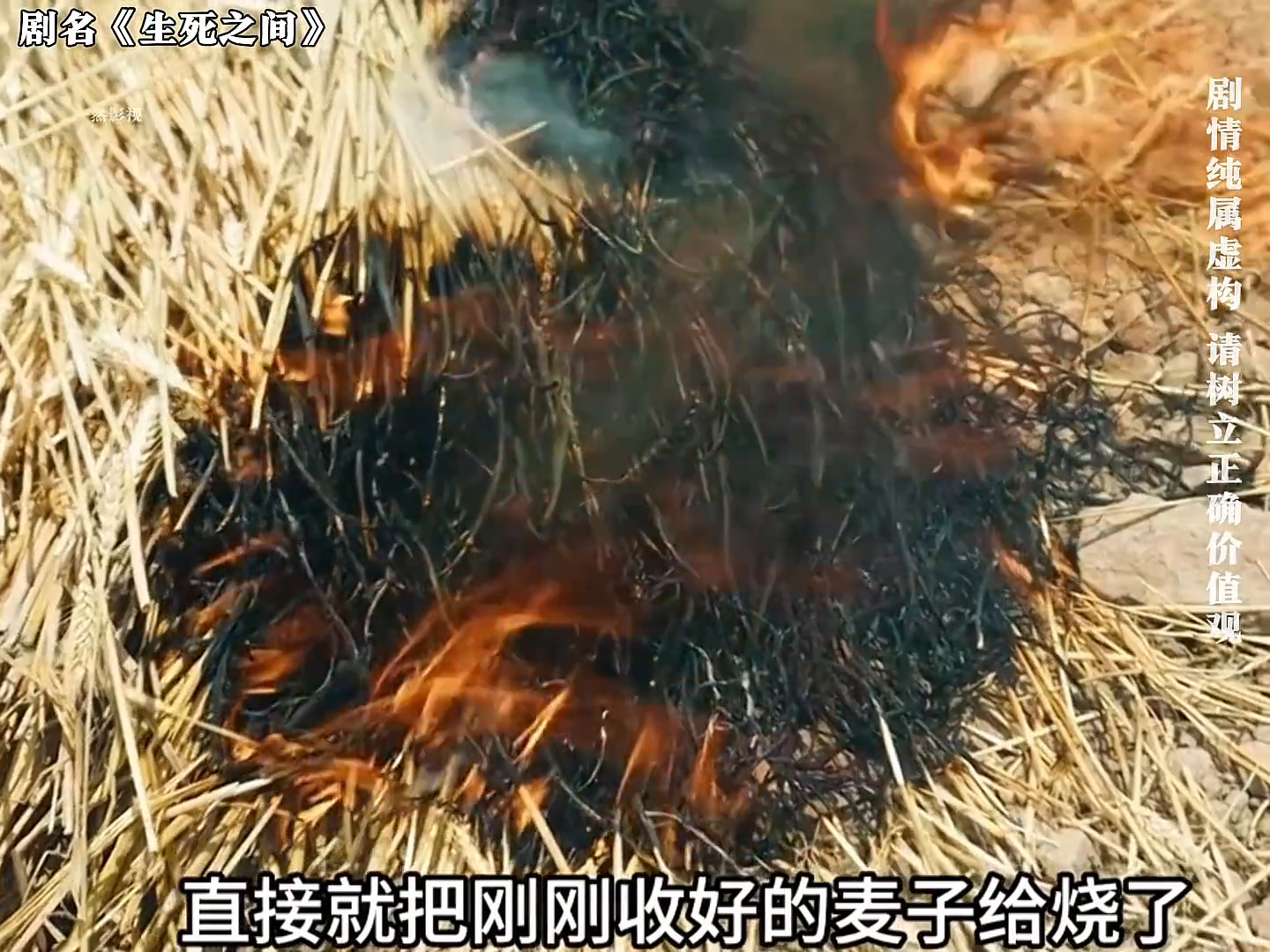 生死之间封面