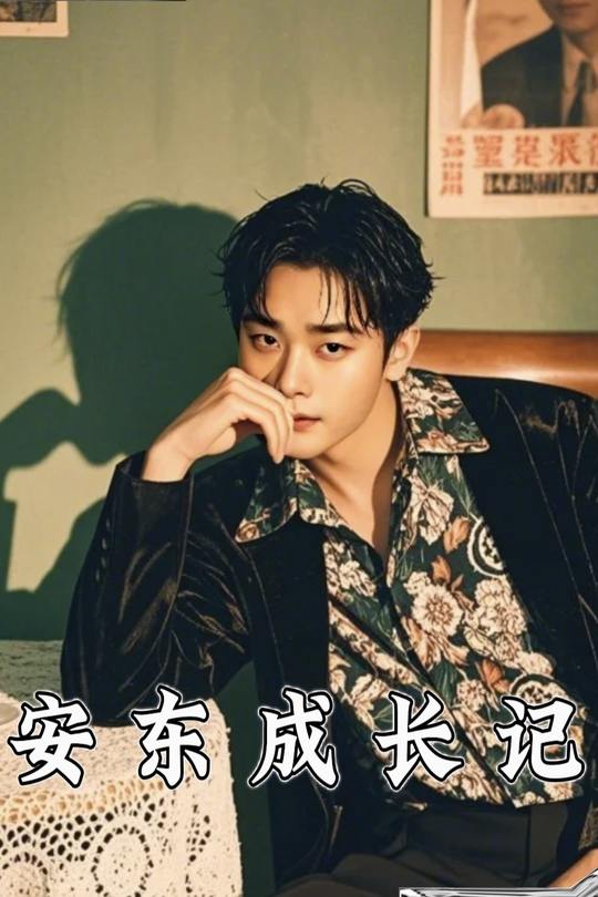 安东成长记封面