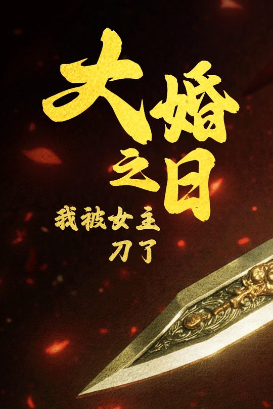 大婚之日我被女主刀了封面