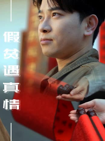 假贫遇真情封面