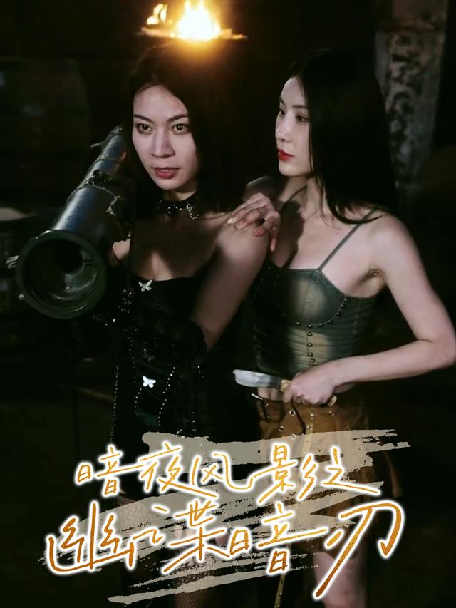 暗夜风影之幽谍暗刃封面