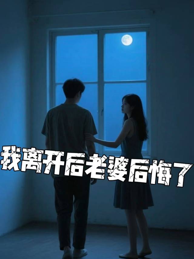我走后老婆后悔了封面