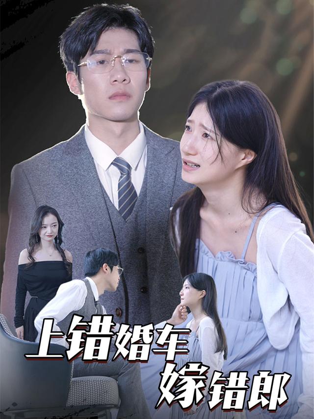 上错婚车嫁错郎封面