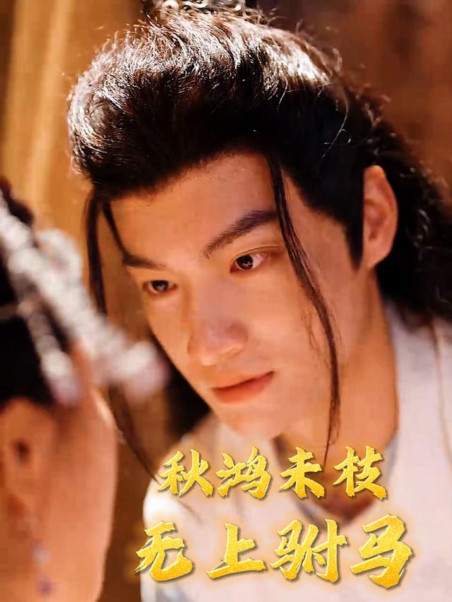 秋鸿未枝,无上驸马封面