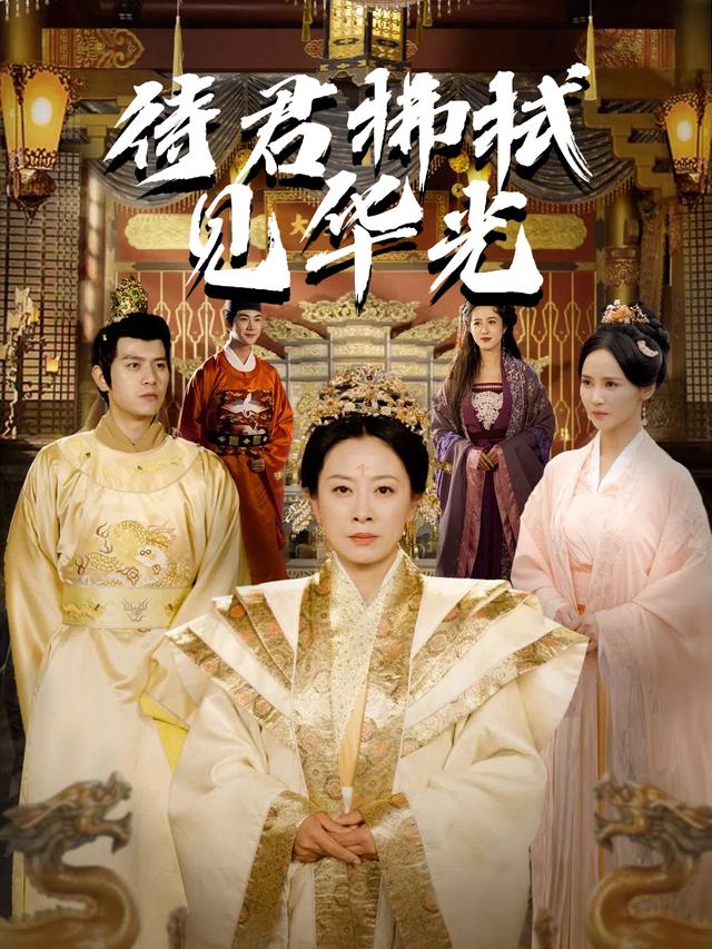 待君拂拭见华光封面