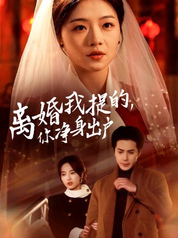 离婚我提的,你净身出户封面