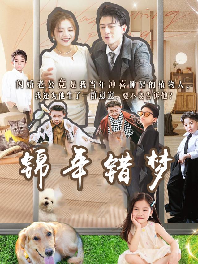 锦年错梦封面