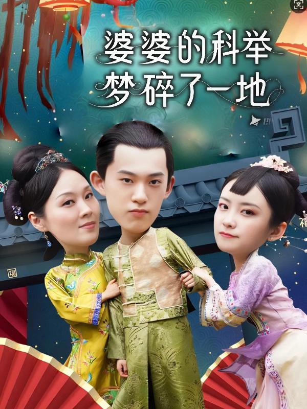 婆婆的科举梦碎了一地封面