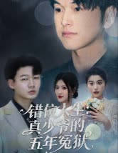 错位人生:真少爷的五年冤狱封面
