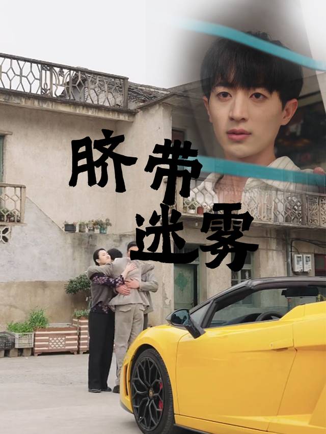 脐带迷雾封面