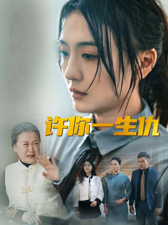 许你一生仇封面