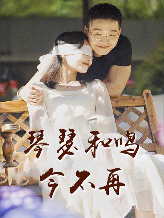 琴瑟和鸣今不再封面