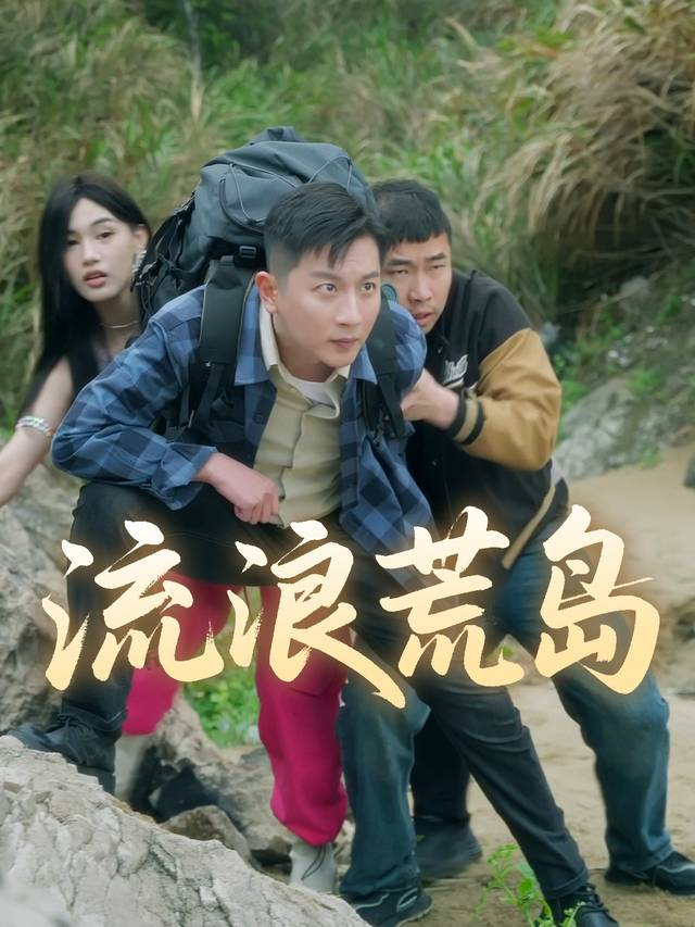 流浪荒岛封面