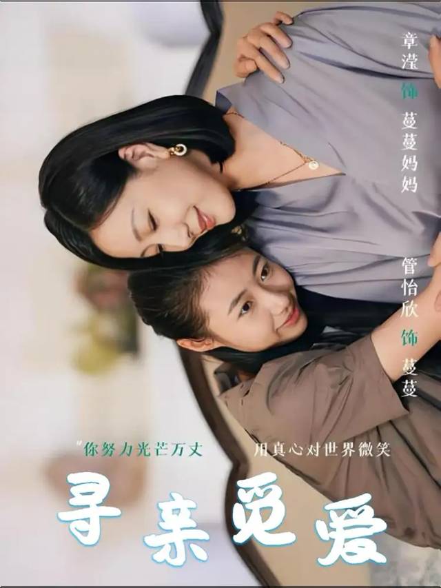寻亲觅爱封面