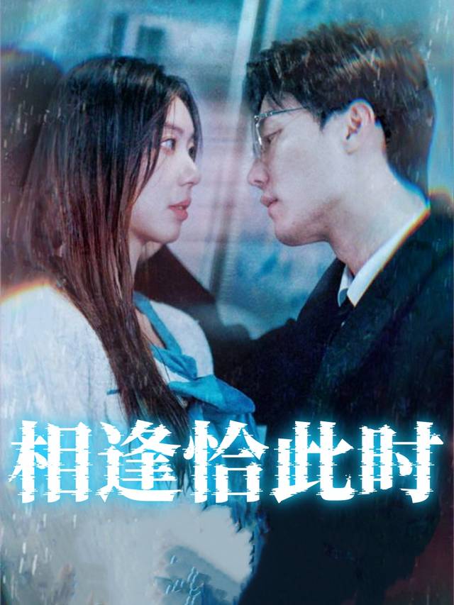 相逢恰此时封面