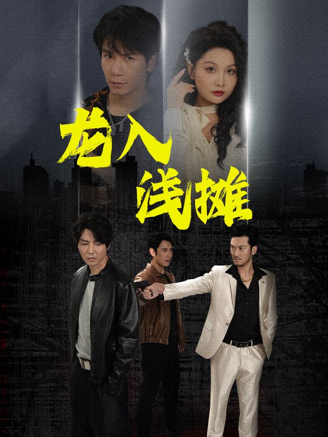 龙入浅摊封面