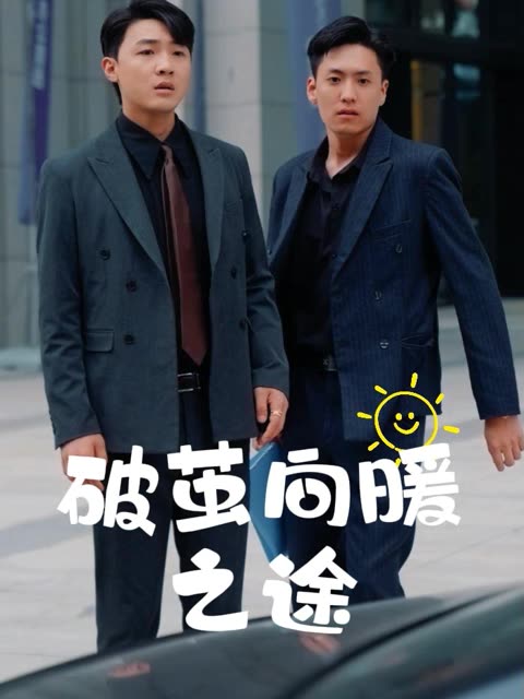 破茧向暖之途封面