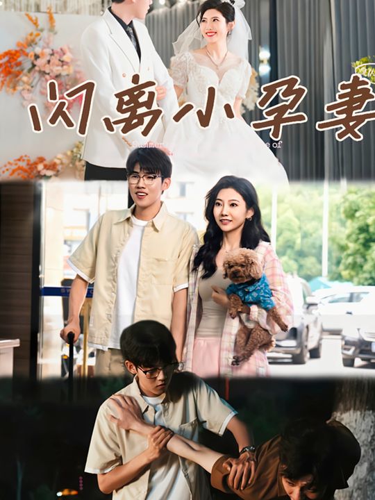 闪离小孕妻封面