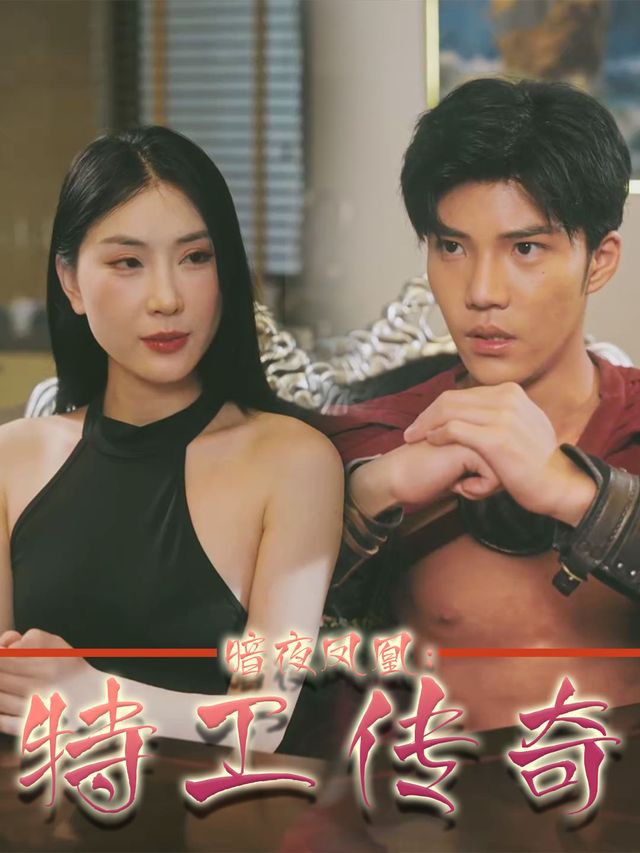 暗夜凤凰:特工传奇封面