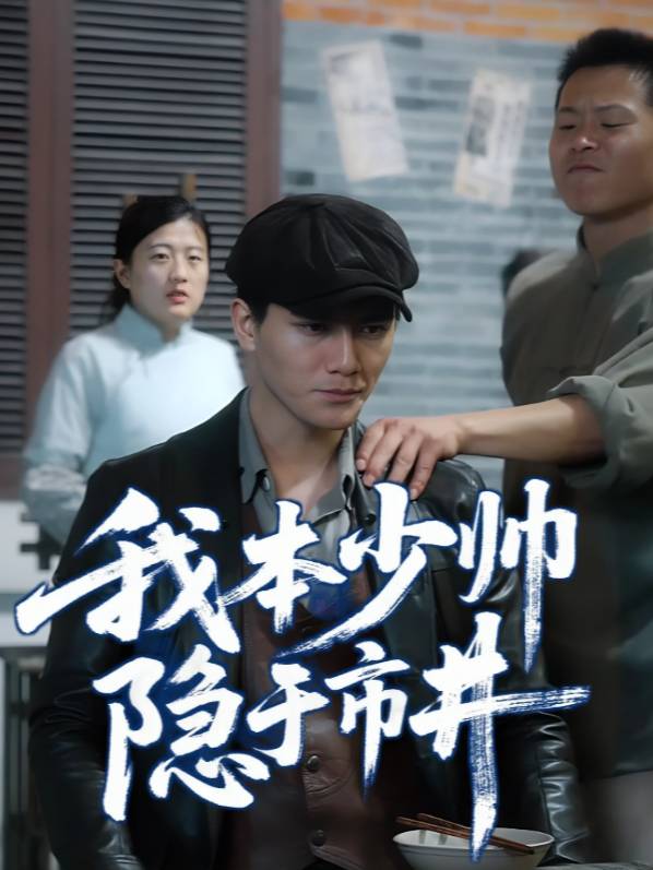我本少帅，隐于市井封面