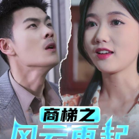 商梯之风云再起封面