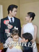 肥婆逆袭之池爷带娃找上门封面