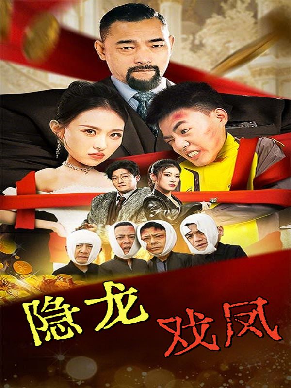 隐龙戏凤封面