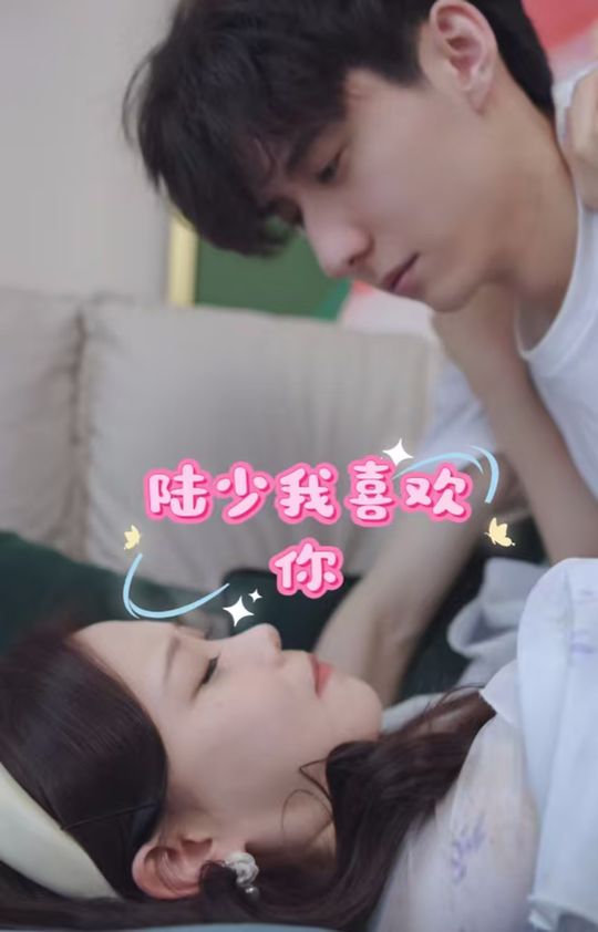 陆少我喜欢你封面
