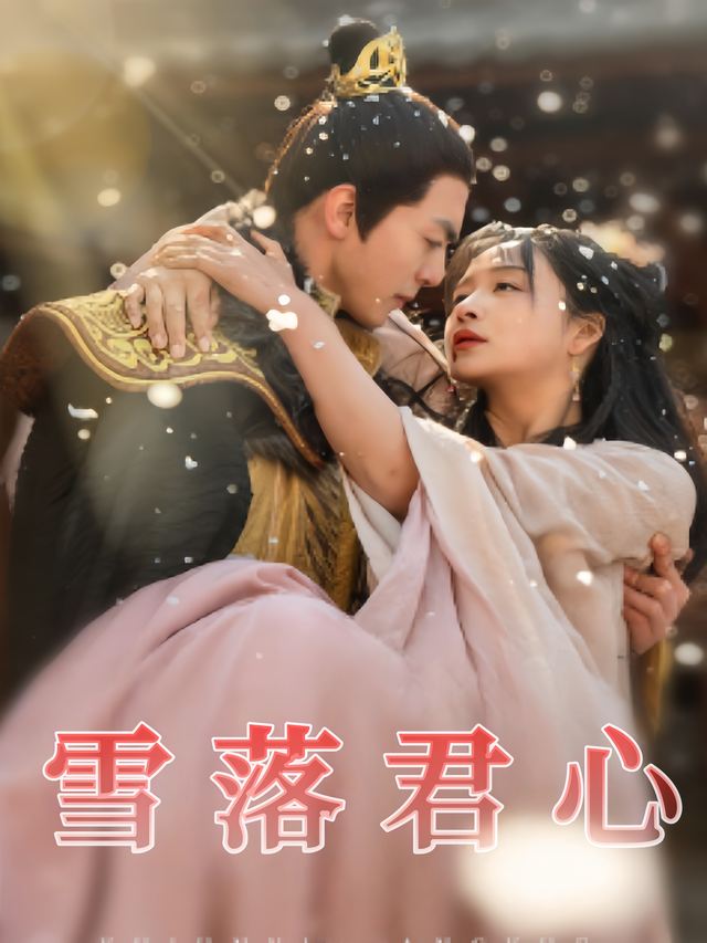 雪落君心封面