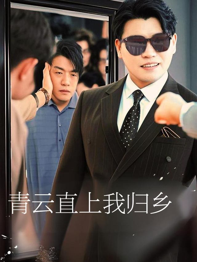 青云直上我归乡封面