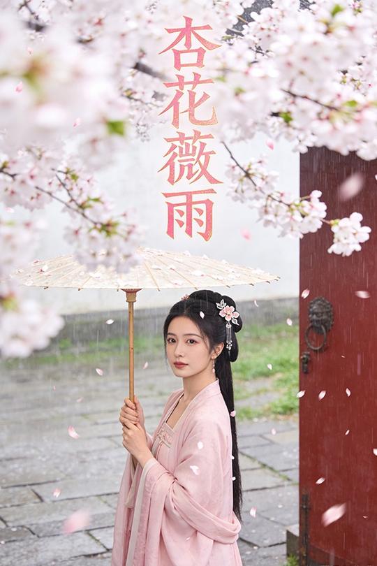 杏花薇雨封面