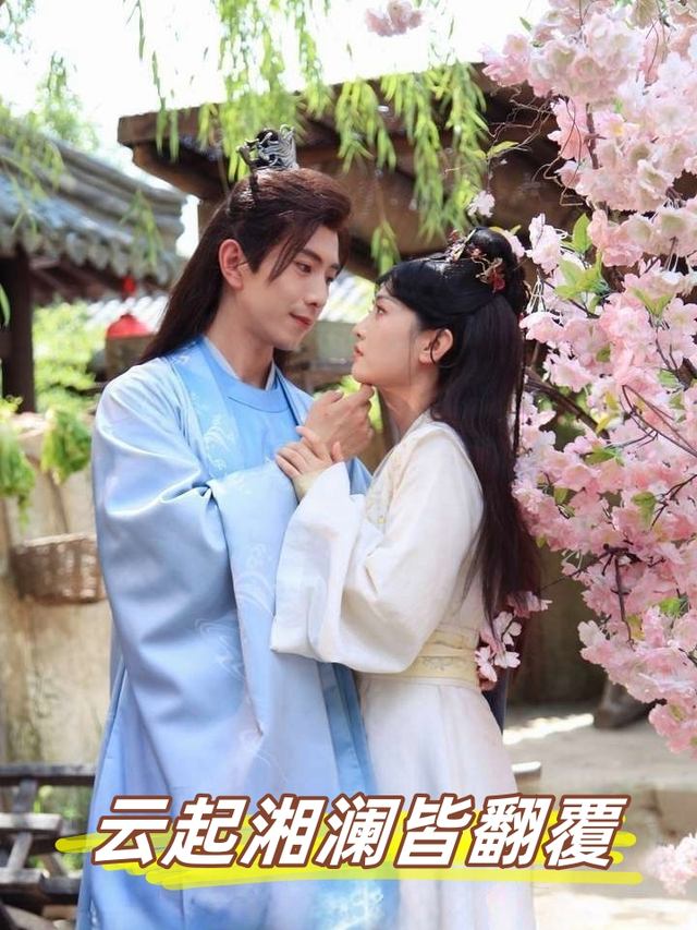 云起湘澜皆翻覆封面