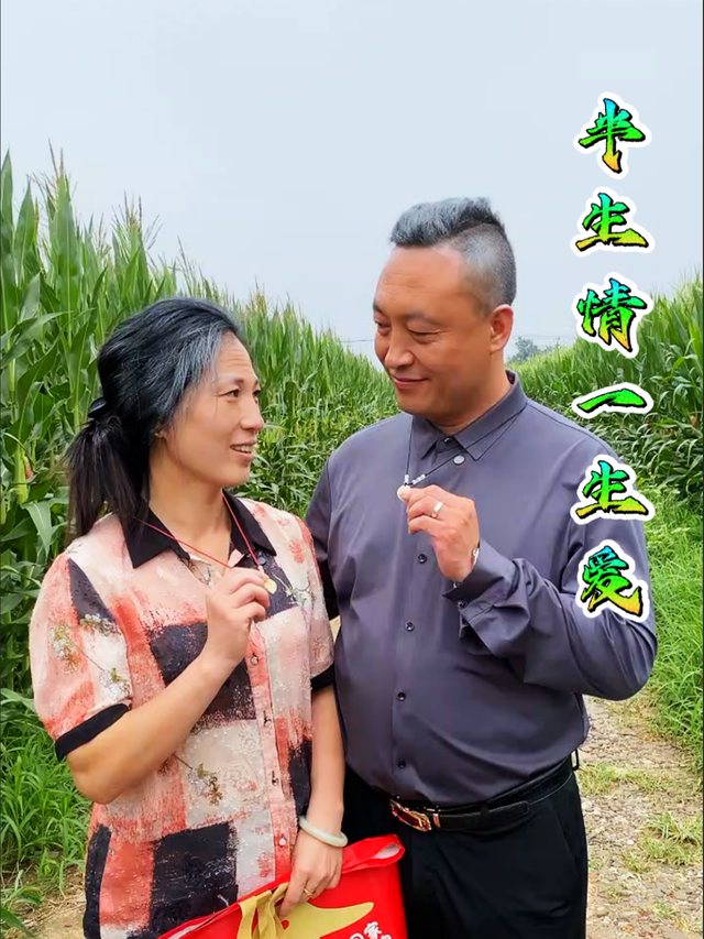半生情一生爱封面