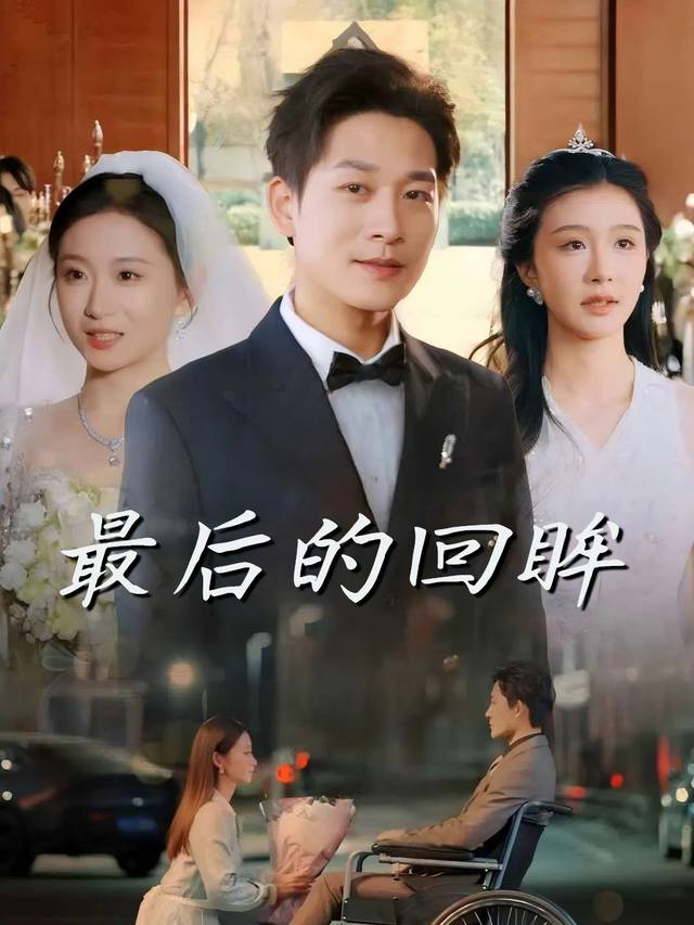 最后的回眸封面