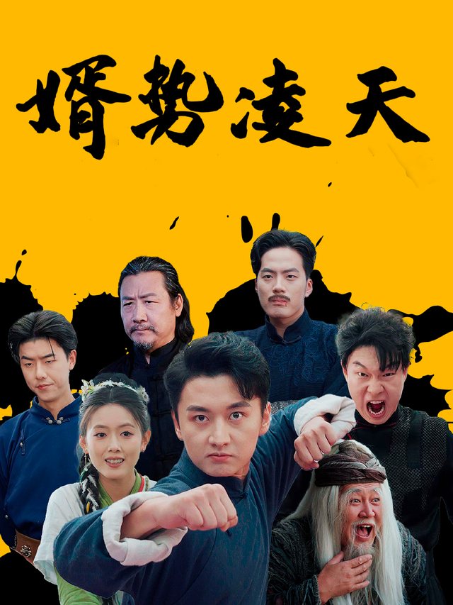 婿势凌天封面
