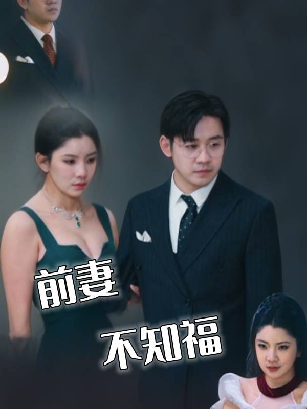 前妻不知福封面