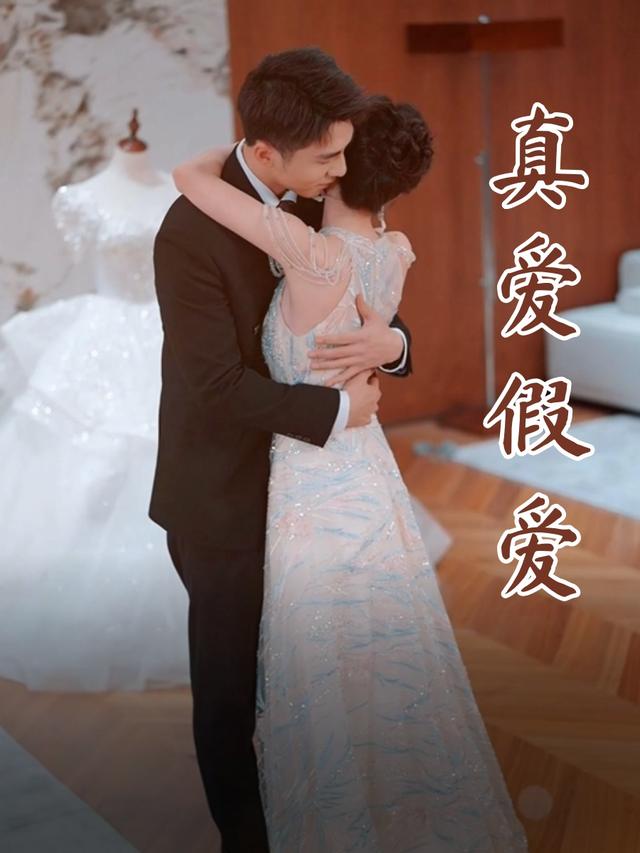 真爱假爱封面