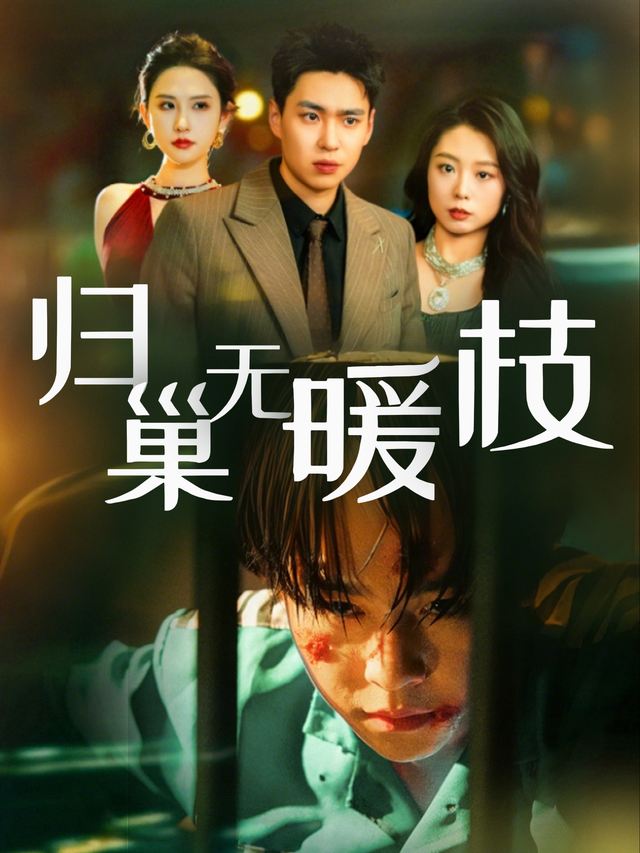 归巢无暖枝封面