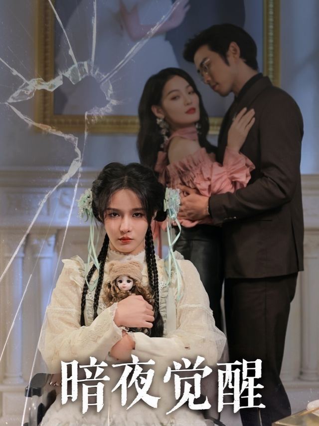 暗夜觉醒封面