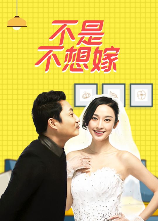 不是不想嫁(3)封面