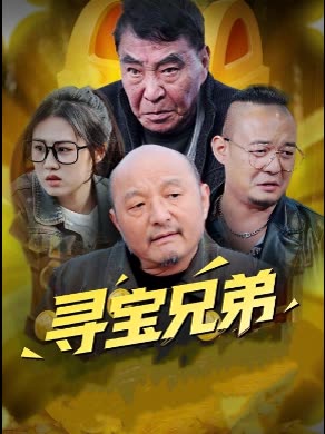 寻宝兄弟封面