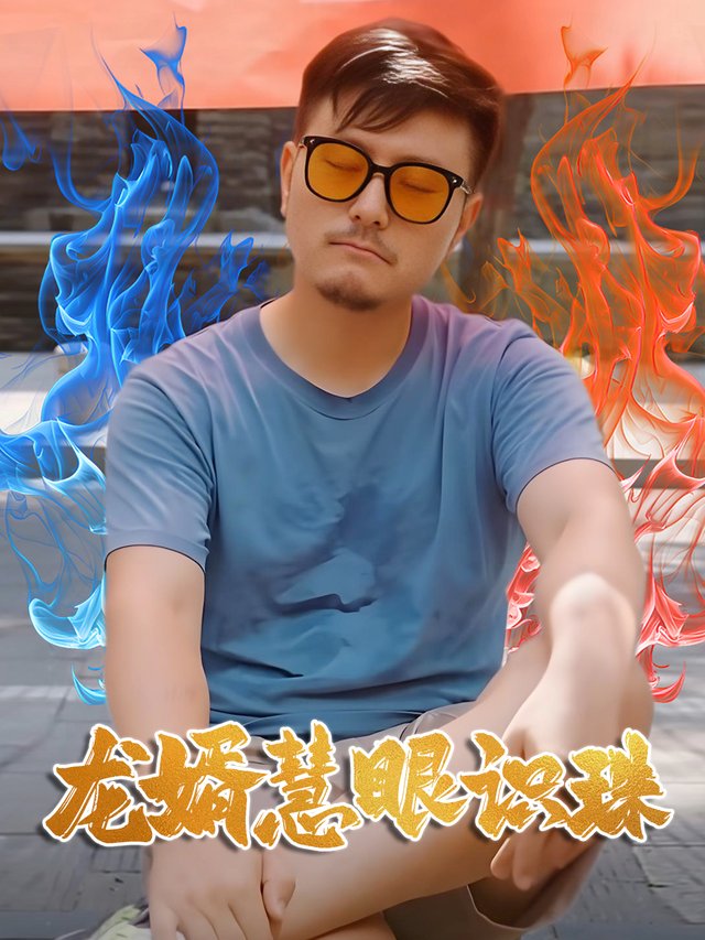 龙婿慧眼识珠封面