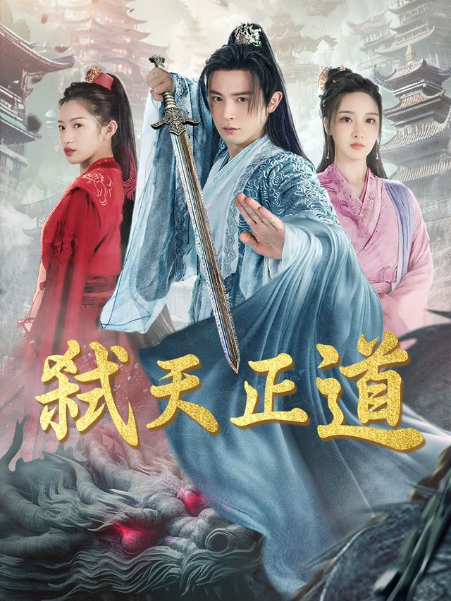 弑天正道封面