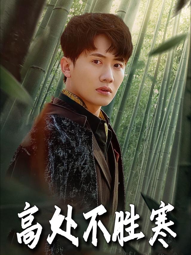 高处不胜寒封面
