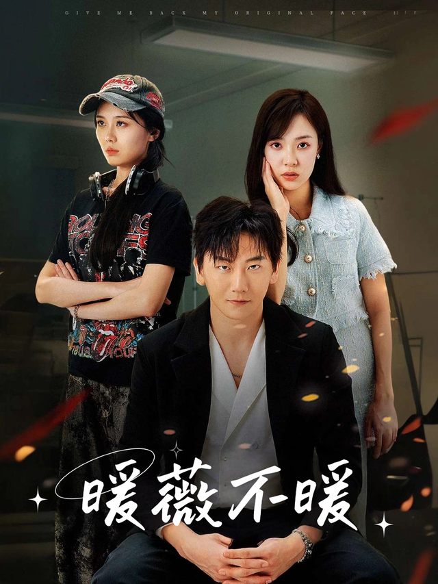 暖薇不暖封面